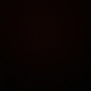 Meet your Posher, Codie